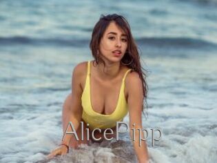 AlicePipp