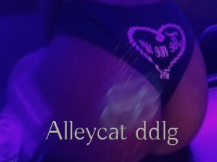 Alleycat_ddlg