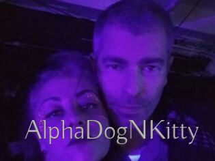 AlphaDogNKitty