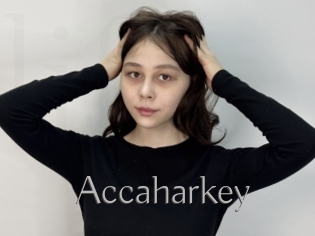 Accaharkey