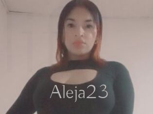 Aleja23