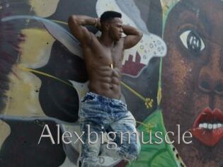 Alexbigmuscle