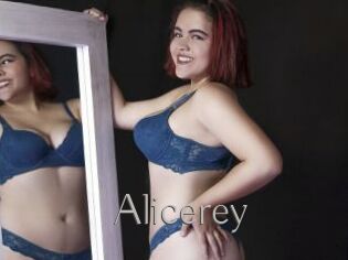 Alicerey