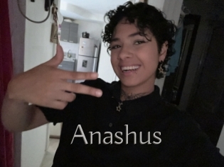 Anashus