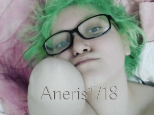 Aneris1718