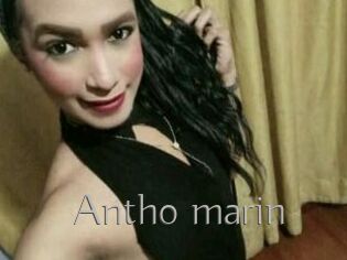 Antho_marin