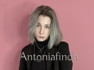 Antoniafinch