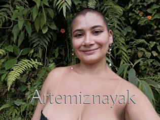 Artemiznayak