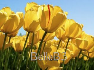 BelleB3