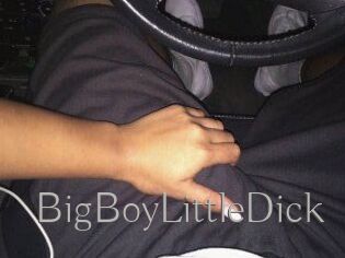 BigBoyLittleDick