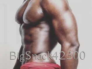 BigSnack42300