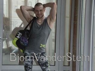 BjornVanderStein