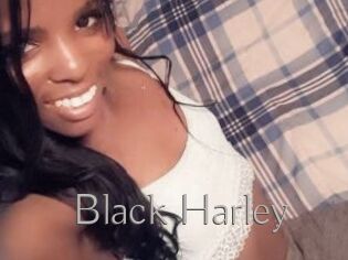 Black_Harley