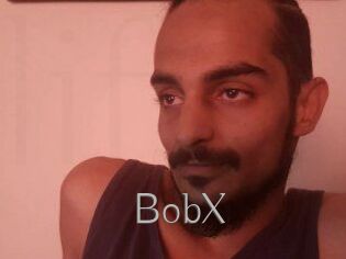 BobX