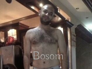 Bosom