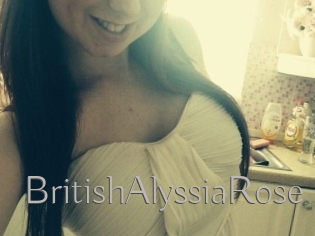 BritishAlyssiaRose