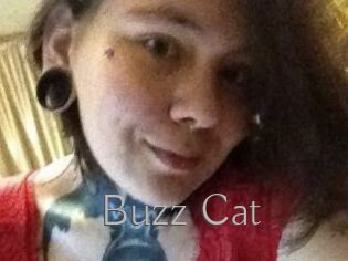 Buzz_Cat