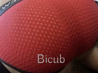 Bicub