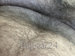 Bigbear24