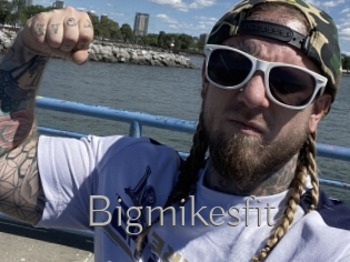 Bigmikesfit