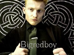 Bigredboy