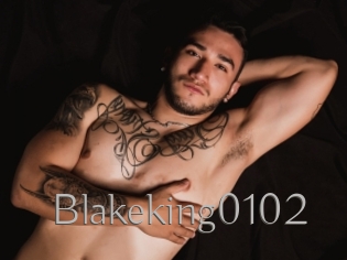 Blakeking0102