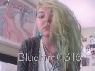 Bluebird0316