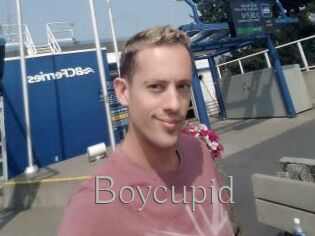 Boycupid