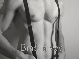 Bradharvey