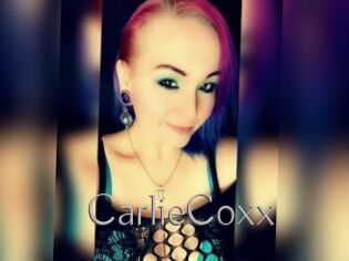 CarlieCoxx