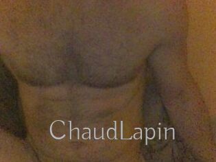 ChaudLapin