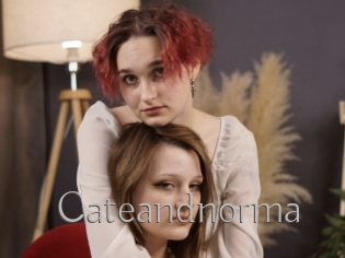 cateandnorma Live Fick
