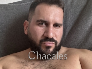 Chacales