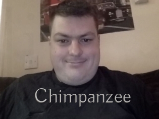 Chimpanzee