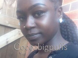 Cocoabigpuffs