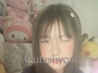 Cuteshycat