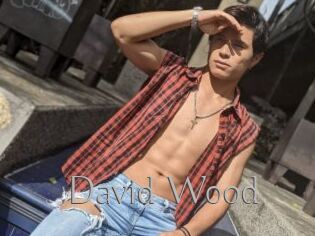 David_Wood