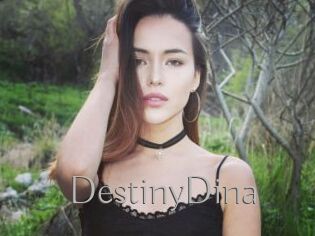 DestinyDina