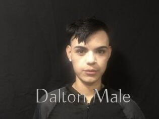 Dalton_Male