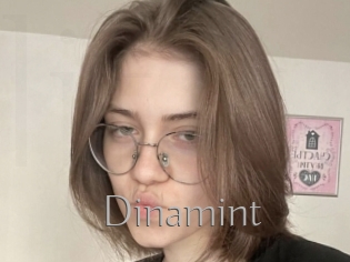 Dinamint