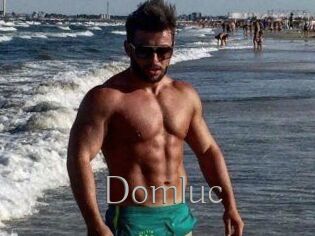 Domluc