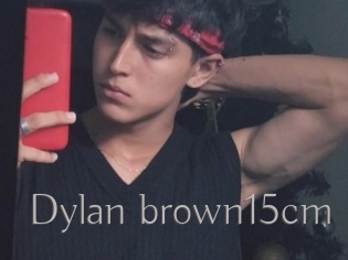 Dylan_brown15cm