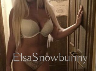 ElsaSnowbunny