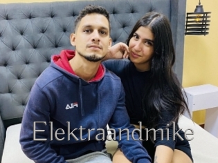 Elektraandmike