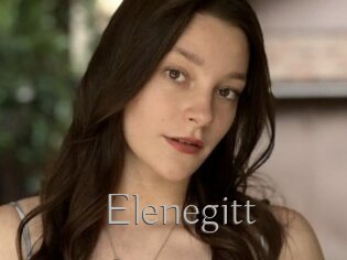elenegitt Live Fick