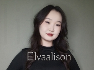 Elvaalison