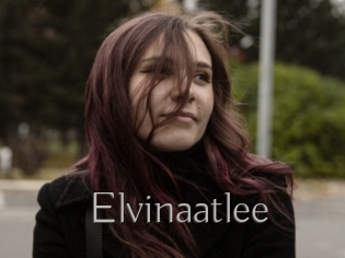 Elvinaatlee