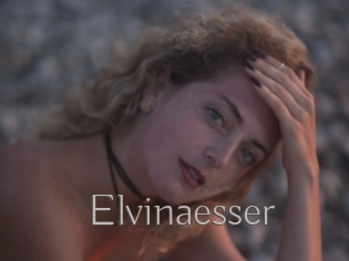 Elvinaesser