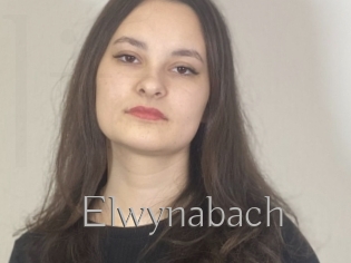 Elwynabach