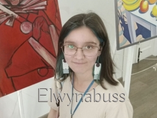 Elwynabuss